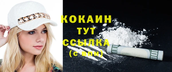 тгк Абаза