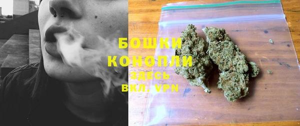 ПСИЛОЦИБИНОВЫЕ ГРИБЫ Абдулино