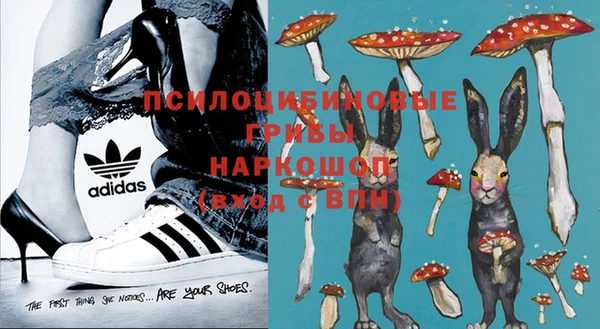 тгк Абаза