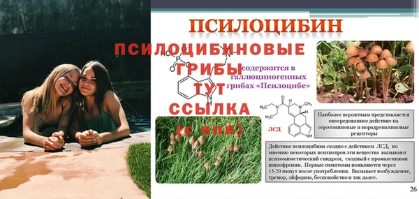 ПСИЛОЦИБИНОВЫЕ ГРИБЫ Абдулино