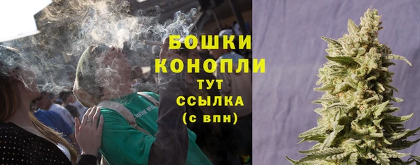 ПСИЛОЦИБИНОВЫЕ ГРИБЫ Абдулино