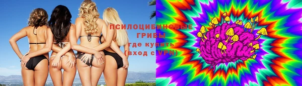 ПСИЛОЦИБИНОВЫЕ ГРИБЫ Абдулино