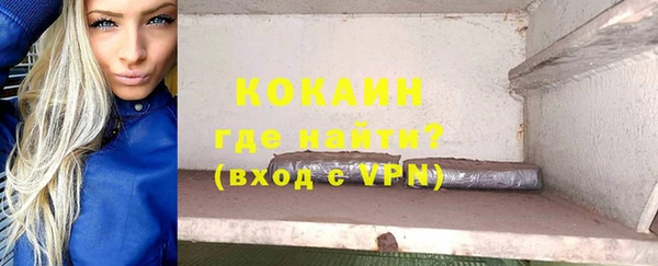 тгк Абаза